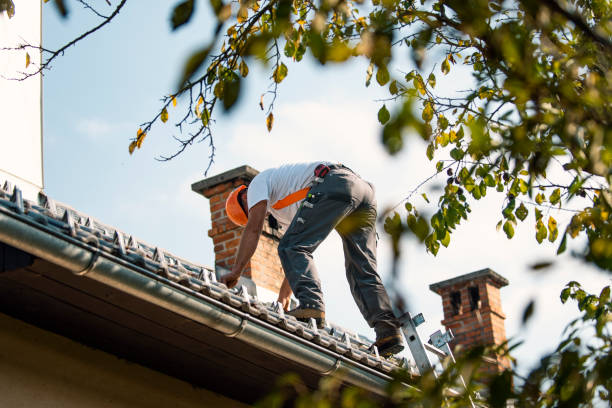 Best Storm Damage Roof Repair  in Forsyth, IL